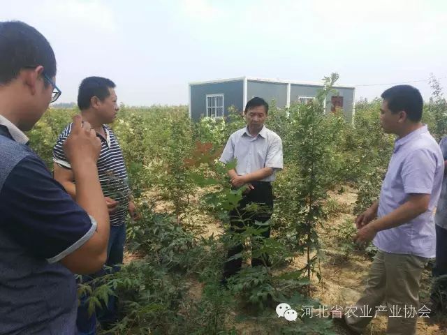 孫悅明會長等協(xié)會領(lǐng)導到安平縣會員單位調(diào)研， 取得良好效果