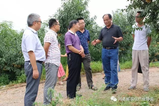 協(xié)會組織媒體記者赴常務(wù)理事單位行唐縣新農(nóng)生態(tài)農(nóng)業(yè)開發(fā)有限公司參觀、交流