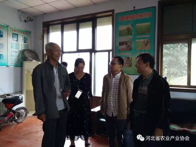 孫悅明會長等領(lǐng)導(dǎo)赴晉州聽取薯業(yè)專委工作匯報， 并進(jìn)行調(diào)研