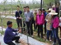 蘋果拉枝有技巧，這些竅門要記牢！不懂別亂拉！