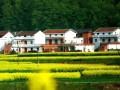 農(nóng)村宅基地20問(wèn)，每一問(wèn)都和你有關(guān)