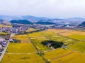 鄉(xiāng)村振興法已啟動立法相關(guān)程序，2020年前有望發(fā)布