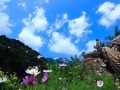 河北要建100個旅游特色小鎮(zhèn)，有你家鄉(xiāng)嗎？