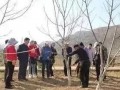 治蟲不見蟲，才是高水平！果樹病蟲害防治最佳時(shí)機(jī)到了！