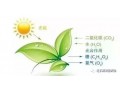 作物長(zhǎng)不好，90%都是缺碳造成的，不信你看！