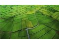 高標(biāo)準(zhǔn)農(nóng)田建設(shè)是啥？居然能讓收入翻倍！