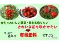 從農(nóng)藥減量到有機(jī)農(nóng)業(yè)，日本比我們領(lǐng)先至少半個(gè)世紀(jì)