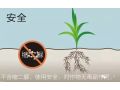 這才是肥料袋上的“關(guān)鍵”！