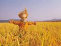 這15項(xiàng)補(bǔ)貼即將截止，錯過就要再等一年了！