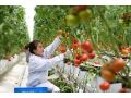 @農(nóng)民朋友，想增收致富嗎？高素質(zhì)農(nóng)民培養(yǎng)來了！
