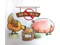 飼料“禁抗”新政出臺，行業(yè)準備好了嗎？