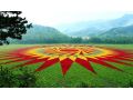 做大做強！我省將重點抓好這7大類24種農(nóng)業(yè)優(yōu)勢特色產(chǎn)業(yè)