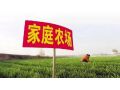 家庭農(nóng)場(chǎng)多大規(guī)模才合適？