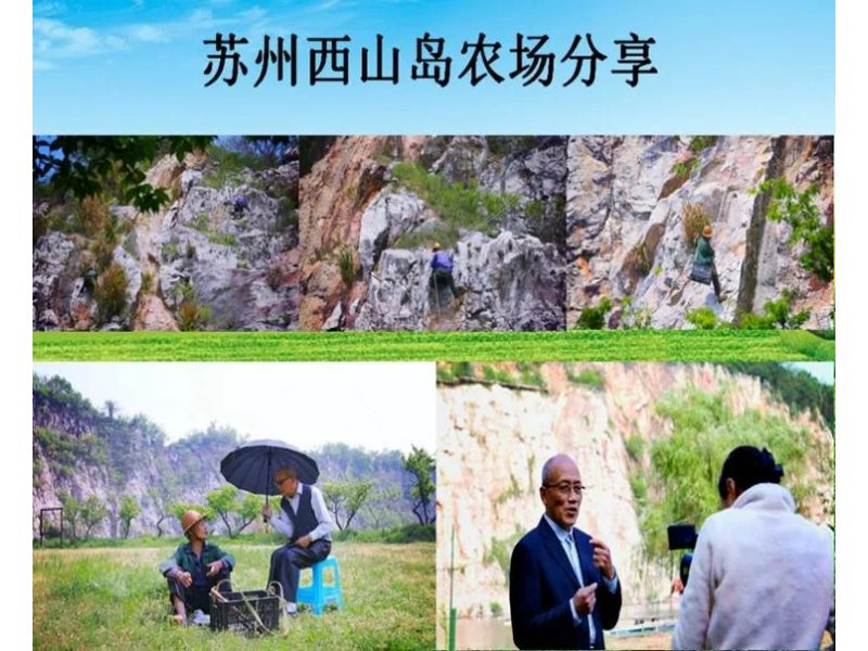 國際農(nóng)業(yè)線上交流培訓(xùn)對接系列活動之十三——臺灣專家與您探討如何發(fā)展高效益農(nóng)業(yè)