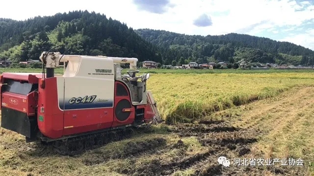 2020石家莊·國際農(nóng)業(yè)技術(shù)交流對接系列活動之九——帶您了解日本有機種植技術(shù)