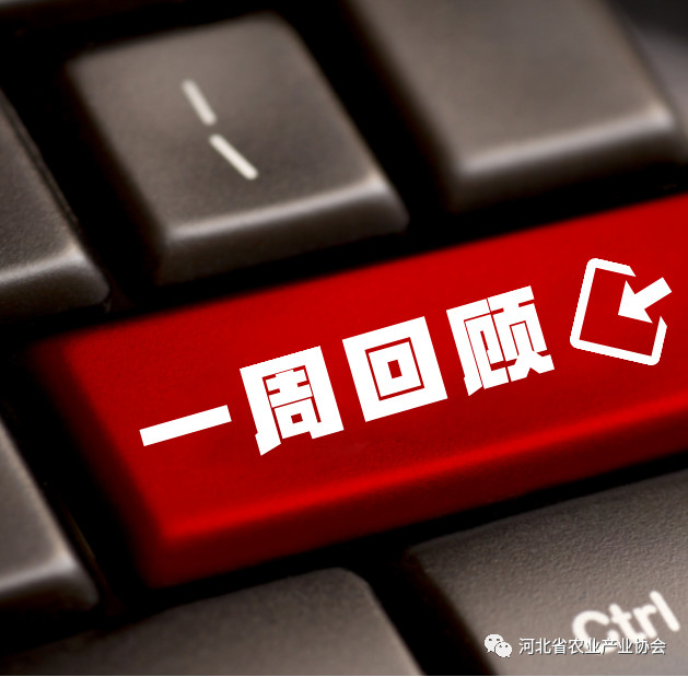 看看協(xié)會(huì)一周做了啥？