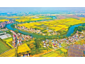 《2023中國農(nóng)業(yè)農(nóng)村發(fā)展趨勢報告》重磅發(fā)布 建設(shè)農(nóng)業(yè)強(qiáng)國目標(biāo)