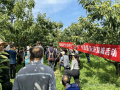 河北省農業(yè)產業(yè)協(xié)會經常性“三下鄉(xiāng)”科普服務進寬城活動成功舉辦